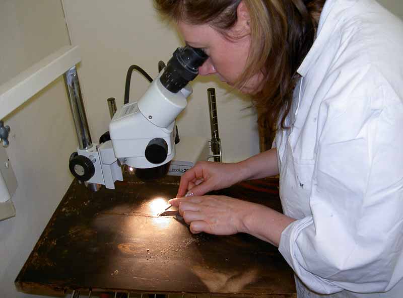 varför konservera och restaurera tavlor